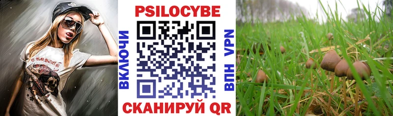 Псилоцибиновые грибы MAGIC MUSHROOMS  Каменск-Шахтинский 